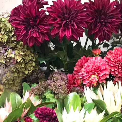 出張レッスン、コラボレーション企画